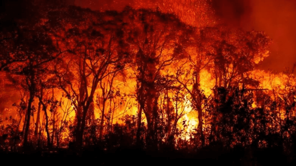 Brasil e Bolívia unem forças para combater incêndios florestais na fronteira