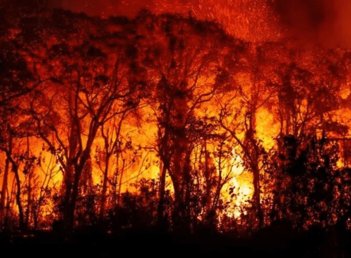 Brasil e Bolívia unem forças para combater incêndios florestais na fronteira