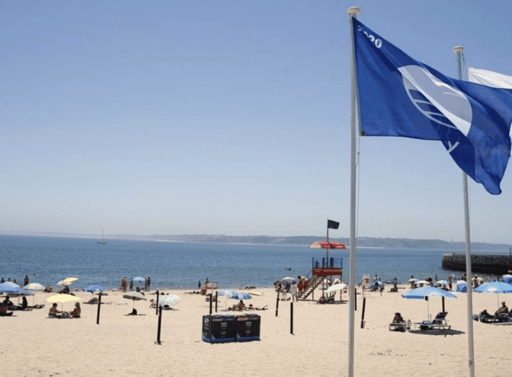 Bandeira Azul: a maior premiação global para praias e marinas